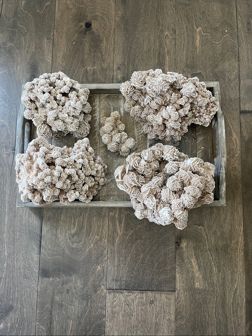 Desert Rose Selenite